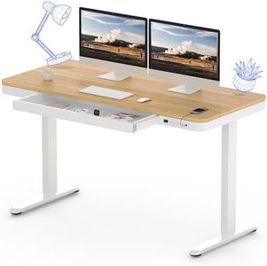 FLEXISPOT 