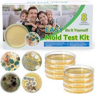 Mold Test 