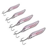 BINC Spoon Bait Fishing Lures for Bass Trout Metal Jig 5ps Various Weight for Freshwater and Saltwater Fishing kit with Tackle Box, Gift for Men (Silver)