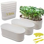 Window Box with Saucers 5 Sets Plastic Planters with Multiple Drainage Holes and Trays Flower Pots for Home Garden Succulents Modern Decorative Window Planter Box Gardening Pot Plant Container