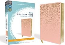 NIV Bible For Teens Thinline Red Le