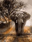 DIY Paint by Numbers Kits, Amiiba African Grassland Elephant Animal Tree 16x20 inch Acrylic Painting by Number Wall Art Crafts (Elephant, without Frame)