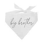 Big Brother Boho Gender Reveal/Baby