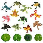 12Pcs Colorful Plastic Frog Models with Artificial Lotus Leaves, Tropical Simulation Frogs, Animal Recognition Toys for Children, Floating Decoration for Ponds, Artificial Micro Landscape Pools