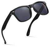 Retro Rewind Classic Polarized Sunglasses