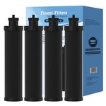 Water Filter Replacements Compatible with Berkey BB9 Gravity Fed Filter Countertop Water Purification Systems (4 Pack)