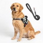 PAYTON PERRY Customized Dog Harness with Leash | Dog Harness with Name | Personalized Dog Vest Harness, No Pull, Adjustable (S, Blue-3D, for 5-13 Kilograms Dogs)