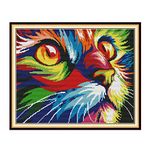 Cross Stitch Embroidery Kits for Adults Kids, WOWDECOR Colorful Cat Animals 11CT Stamped DIY DMC Needlework Easy Beginners