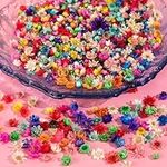 750 PCS Dried Flowers for Resin Cra