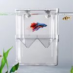 Fish Breeding Box, Aquarium Breeding Box, Fish Insulation Box with Suction Cups, Aquarium Acclimatization Incubator for Baby Fish, Shrimp, Clown Fish and Guppies