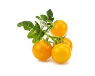 Click & Grow SGR57x3 3 pc(s) Cherry tomato Starter kit