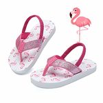 Kinghealth Toddler Flip Flops Girls & Boys Sandal Kids Flip Flop with Back Strap for Summer and Beach (Flamingo UK11)