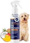 Honest Paws Dog Dry Shampoo - Water