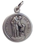 Saint Francis of Assisi Medal - The Patron Saints Medals -100% Made in Italy (St.Francis with the Wolf)