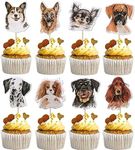 SYKYCTCY 40 Pack Pet Dog Cupcake Toppers Double Sided Dogs Face Lets Pawty Dog Birthday Cupcake Picks Puppy Dog Cake Decorations for Dog Theme Kids Birthday Party Decorations