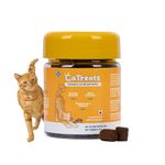 PET360 CaTreats | Real Chicken & Catnip Softbites | Prebiotics | Taurine & Arginine | 100+ Softbites Treats | Promotes Relaxation | Promotes Playful Behaviour | Pack of 70 GMS (Pack of 1)