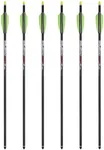 TenPoint Pro Elite 400 Carbon Crossbow Arrows - 20", Pack of 6 - with Alpha-Nock HP & HP Aluminum Bushing