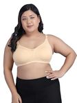 MAP DEAL Plus Sizes Bra for Women/Girls, Everyday Cotton Hosiery Bra, Non-Padded & Full Coverage | Adjustable Straps, Wirefree Bra for Girls, Dailyuse Nude 46 D