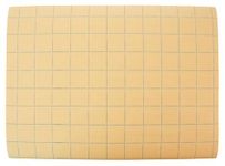 School Smart Graph Paper, 1 Inch Rule, 9 x 12 Inches, Manila, Pack of 500-085481