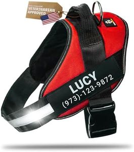 DOGGYKINGDOM Personalized Dog Harness with Custom Name Patches, No Choke, Reflective, Adjustable, Soft Padded Dog Vest Harness with Easy Control Handle for Small Size Dog, Red, S