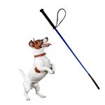 RvPaws Dog Training Hunter Stick Length: 30 inch/ 2.5 Feet, Soft and Easy to use Hunter Stick Will not Hurt Your pet (Color May Vary)