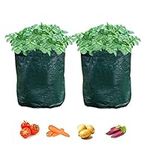 D.A.Y. Republic 2 Pack 42 Litre Potato Grow Bags, Ideal for Potatoes, Tomatoes, Carrots, Onions & All Other Vegetables and Herbs, Heavy Duty PVC Planting Pots with Handles