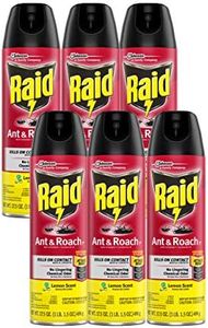 Raid Ant &