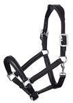 LeMieux Anatomic Headcollar for Horses in Black - Padded Leather & Metal Fittings - Adjustable - Full