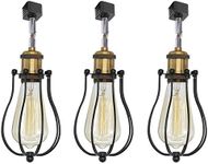 Kiven Vintage Wire Cage Semi Track Lighting Heads Compatible with Single Circuit H Type Track Lighting, Industrial Black Metal Caged Track Rail Light Fixture 3-Pack