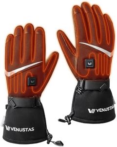 Venustas H