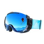 Ski Goggles