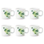 Larah by BOROSIL Fern Opalware Mug | Set of 6 Tea/Coffee Mugs, 100 ml Each | Microwave & Dishwasher Safe | Bone-Ash Free | Crockery Set Ideal for Daily Use & Gifting | White