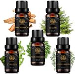 Aromatherapy Woody Essential Oil Se