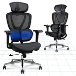 FLEXISPOT C5 Ergonomic Office Chair, Desk Chair with Dual Wing Lumbar Support, 3D Headrest, 3D Armrests & Adjustable Seat Depth, 3-Level Tilt & Height-Adjustable Backrest (Black)