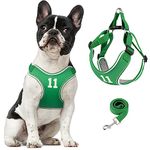 Harness For Bulldogs