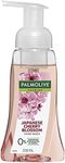 Palmolive Foaming Hand Wash Soap, 2