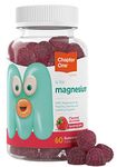 Chapter One Magnesium Gummies, Calm Gummies for Kids and Adults, Kosher (Raspberry 60 Count)