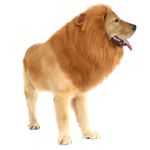 Dog Lion Mane Costume with Ears,Halloween Lion Mane Wig Costume for Medium to Large Sized Dogs,Adjustable Washable Comfortable Fancy Lion Mane Dog Costume Dress(Brown)