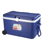 ARISTO Plastic Insulated Icebox Chiller with Handle for Easy Carry and Access, 60 L (Blue)