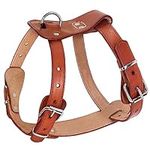 Beirui Genuine Leather Dog Harness 