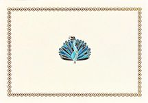 Peacock Note Cards (Stationery, Boxed Cards)