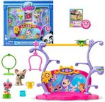 Littlest Pet Shop- Pets Got Talent 