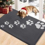 Timo Indoor Door Mat, Front Door Mat 32"x48" Non-Slip Rubber Backing Absorbent Resist Dirt Entrance Rug, Washable Low-Profile Inside Entry Door Rugs for Entryway, Dog Door Mats, Grey