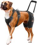 CHAMIN/RISURRY Dog Hip Brace Suppor