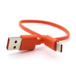 Aiivioll-Type C Charging Cable compatible with JBL Go3, Charge 4/5, Flip 6, Pulse 5, Clip4, JR POP, Endurance Peak, JBLCHARGE4BLKAM Wireless Bluetooth Headphones Speakers Charging Cable（25cm/Orange）