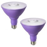 EDISHINE PAR38 Purple Flood Light Bulb, Dimmable Purple LED Light Bulb, 18W(120W Equivalent), Purple Flood Lights for Halloween/Christmas Decorations Outdoor, E26 Base, ETL Listed, 2 Pack