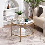 VINGLI 25.6" Round Gold Coffee Tables for Living Room, 2-Tier Glass Top Coffee Table with Storage Clear Coffee , Simple & Modern Center Table for Small Space