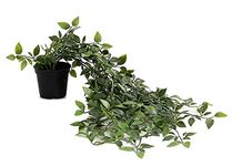 PAPERI Artificial Hanging Plant for Home Decor – Balcony Decoration Items, Outdoor Garden Decorative Fake Plant, Plastic Vine Leaves with Pot, Long Green Leaf Vines for Living Room, Wall, Window