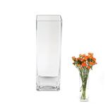 ASSRECT Flower Vase 25 x 8cm Square Clear Glass Vase for Centerpieces Handmade Vase Modern Minimalist Style Decor Floral Arrangement Vase for Wedding Party Home Office Decor Table Decoration