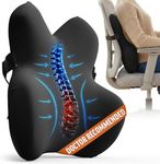Everlasting Comfort Lumbar Support 